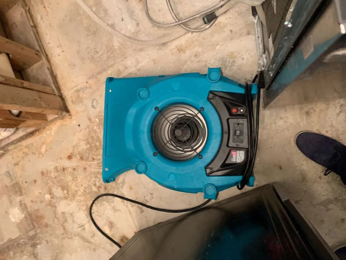 Air mover drying equipment for Mold Remediation & Removal in Daly City